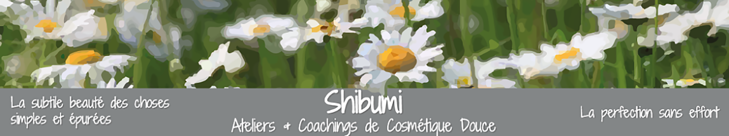 shibumi